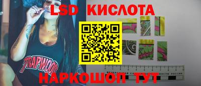 spice Заводоуковск