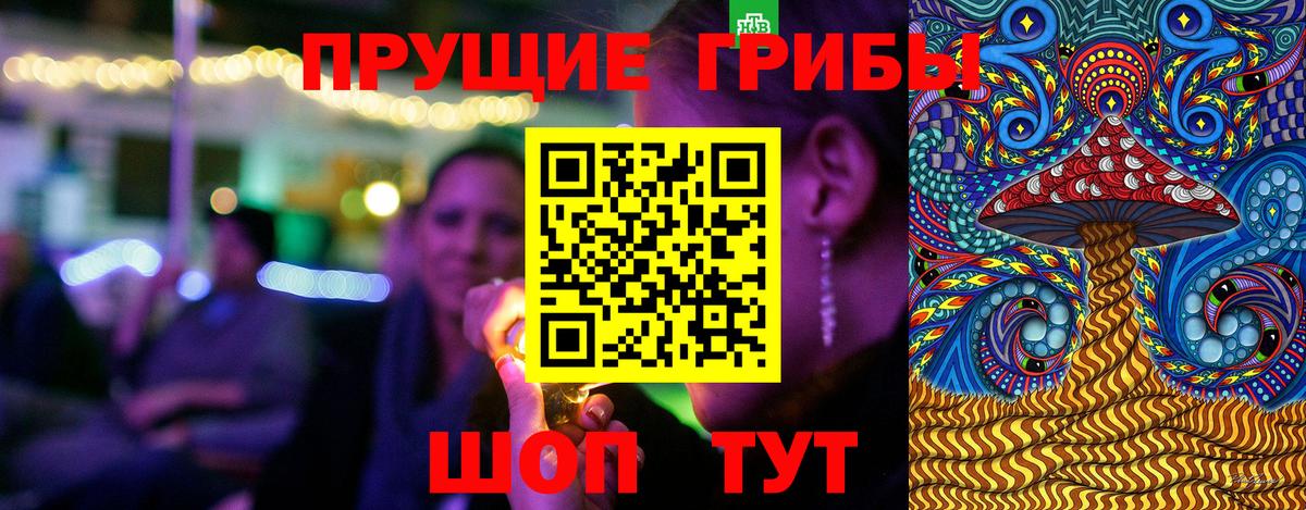 Псилоцибиновые грибы Psilocybe  Вход с VPN  Майский 